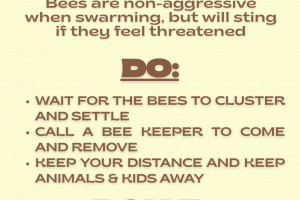 Swarm.png